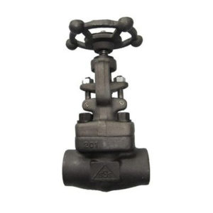 Gate Valve Compact Class 800 | Shoritsu Supplier Malaysia