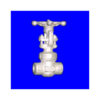 Globe Valve API602 | Shoritsu Valve supplier Malaysia | Turcomp