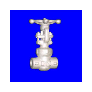 Globe Valve API602 | Shoritsu Valve supplier Malaysia | Turcomp