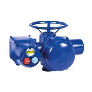 Quarter & Multi Turn Weatherproof Electric Actuator | Bernard Controls Supplier Malaysia