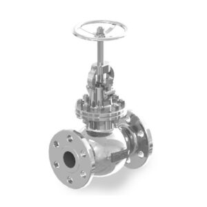 Globe Valve