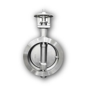 Butterfly Valve