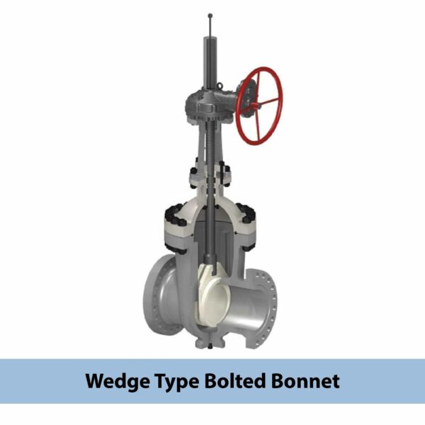 Globe Valve