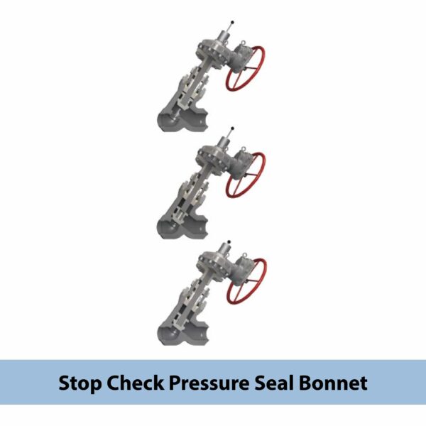 Globe Valve - Image 8