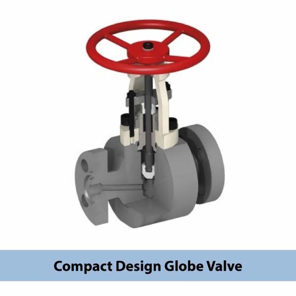 Globe Valve - Image 9
