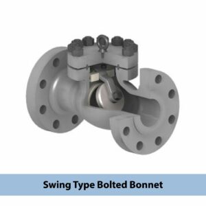 Check Valve