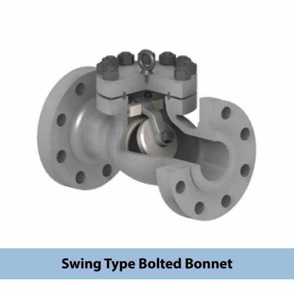 Check Valve