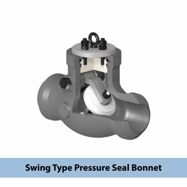 Check Valve - Image 3