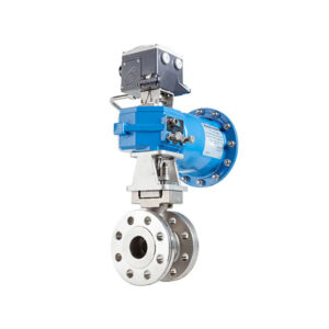 Eccentric rotary plug valves, series FC and FG