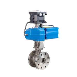 Neles™ segment valves