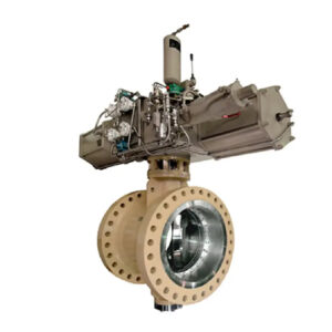 Neles™ butterfly valve, series BW